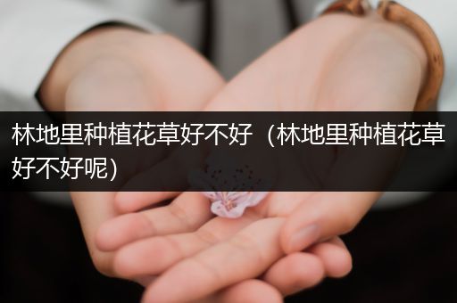 林地里种植花草好不好（林地里种植花草好不好呢）