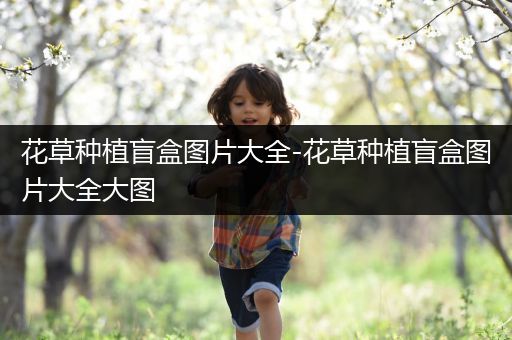 花草种植盲盒图片大全-花草种植盲盒图片大全大图