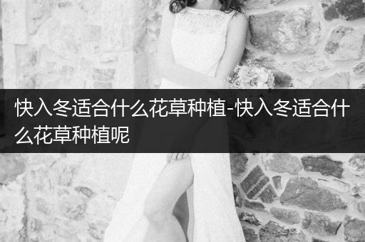 快入冬适合什么花草种植-快入冬适合什么花草种植呢