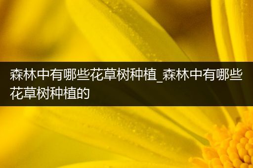 森林中有哪些花草树种植_森林中有哪些花草树种植的