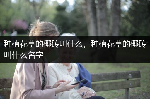 种植花草的椰砖叫什么，种植花草的椰砖叫什么名字