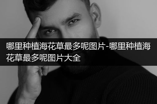 哪里种植海花草最多呢图片-哪里种植海花草最多呢图片大全