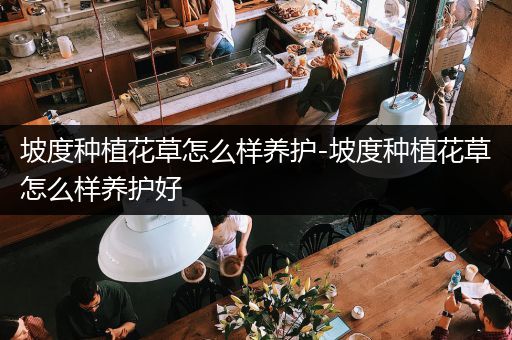 坡度种植花草怎么样养护-坡度种植花草怎么样养护好