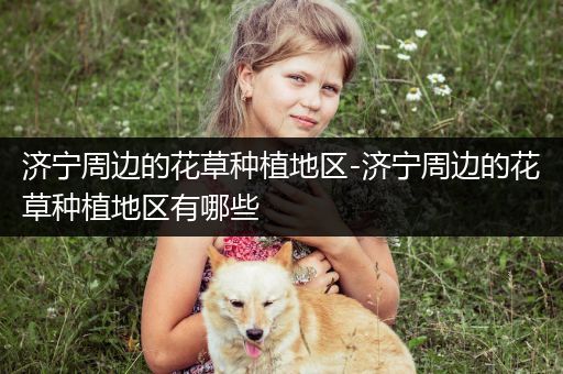 济宁周边的花草种植地区-济宁周边的花草种植地区有哪些
