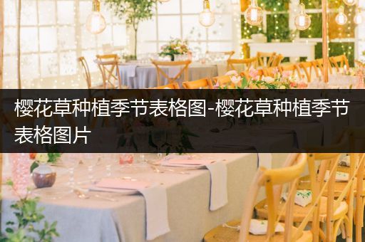 樱花草种植季节表格图-樱花草种植季节表格图片