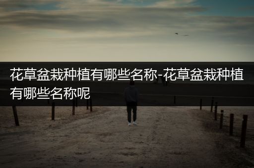 花草盆栽种植有哪些名称-花草盆栽种植有哪些名称呢
