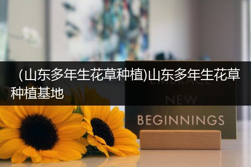 （山东多年生花草种植)山东多年生花草种植基地