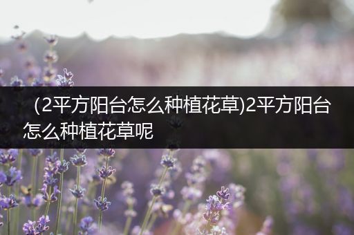 （2平方阳台怎么种植花草)2平方阳台怎么种植花草呢
