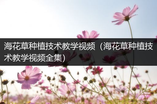 海花草种植技术教学视频（海花草种植技术教学视频全集）