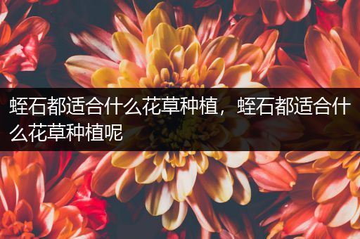 蛭石都适合什么花草种植，蛭石都适合什么花草种植呢
