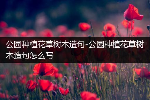 公园种植花草树木造句-公园种植花草树木造句怎么写