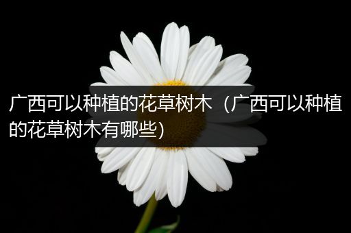 广西可以种植的花草树木（广西可以种植的花草树木有哪些）