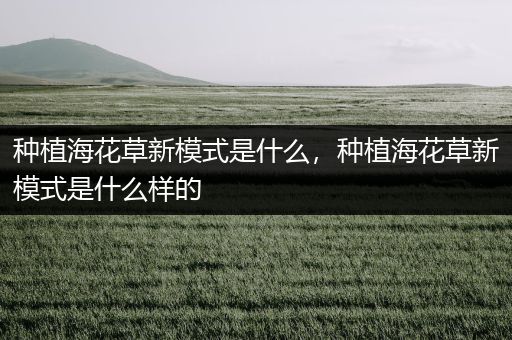 种植海花草新模式是什么，种植海花草新模式是什么样的