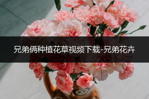 兄弟俩种植花草视频下载-兄弟花卉