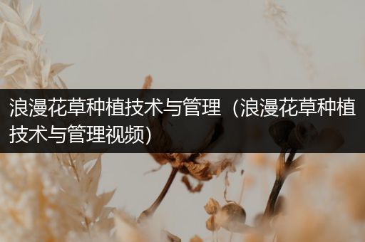 浪漫花草种植技术与管理（浪漫花草种植技术与管理视频）