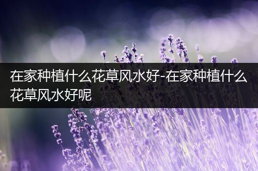 在家种植什么花草风水好-在家种植什么花草风水好呢
