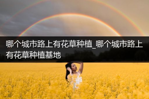 哪个城市路上有花草种植_哪个城市路上有花草种植基地