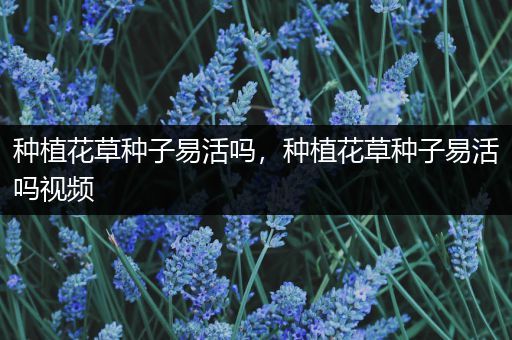 种植花草种子易活吗，种植花草种子易活吗视频
