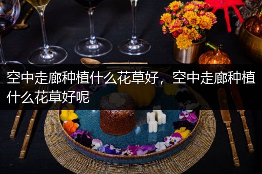 空中走廊种植什么花草好，空中走廊种植什么花草好呢