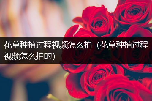 花草种植过程视频怎么拍（花草种植过程视频怎么拍的）