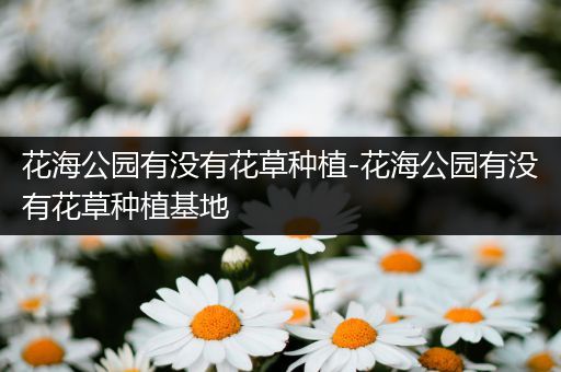 花海公园有没有花草种植-花海公园有没有花草种植基地