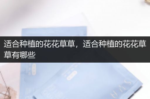 适合种植的花花草草，适合种植的花花草草有哪些