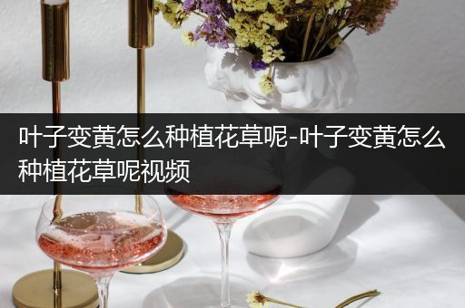 叶子变黄怎么种植花草呢-叶子变黄怎么种植花草呢视频