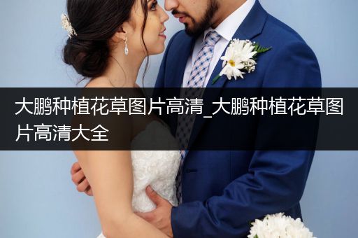 大鹏种植花草图片高清_大鹏种植花草图片高清大全