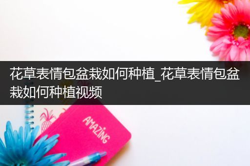 花草表情包盆栽如何种植_花草表情包盆栽如何种植视频