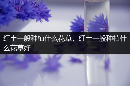 红土一般种植什么花草，红土一般种植什么花草好
