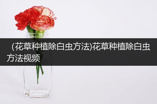 （花草种植除白虫方法)花草种植除白虫方法视频