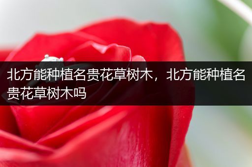 北方能种植名贵花草树木，北方能种植名贵花草树木吗