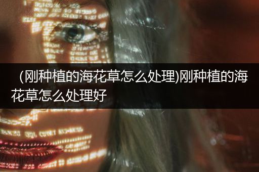 （刚种植的海花草怎么处理)刚种植的海花草怎么处理好