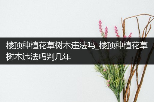 楼顶种植花草树木违法吗_楼顶种植花草树木违法吗判几年