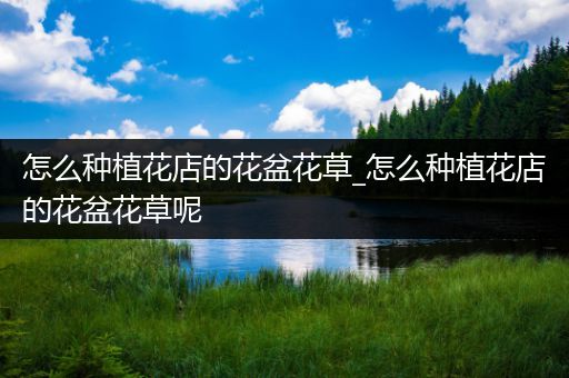 怎么种植花店的花盆花草_怎么种植花店的花盆花草呢