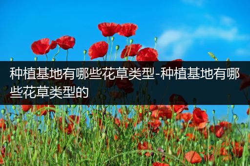 种植基地有哪些花草类型-种植基地有哪些花草类型的