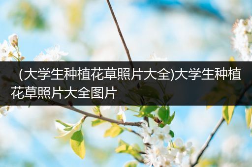 （大学生种植花草照片大全)大学生种植花草照片大全图片