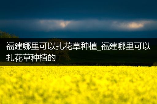 福建哪里可以扎花草种植_福建哪里可以扎花草种植的