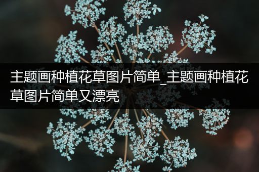 主题画种植花草图片简单_主题画种植花草图片简单又漂亮