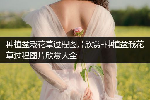 种植盆栽花草过程图片欣赏-种植盆栽花草过程图片欣赏大全