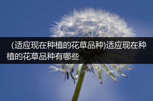 （适应现在种植的花草品种)适应现在种植的花草品种有哪些