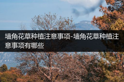 墙角花草种植注意事项-墙角花草种植注意事项有哪些