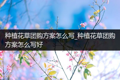 种植花草团购方案怎么写_种植花草团购方案怎么写好