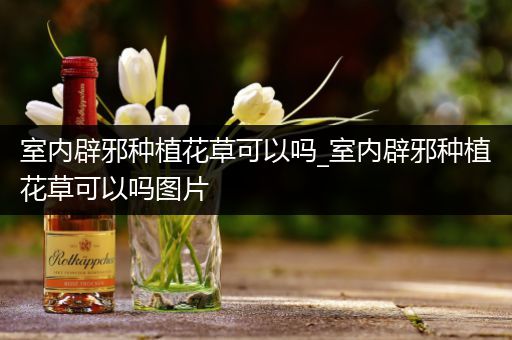 室内辟邪种植花草可以吗_室内辟邪种植花草可以吗图片