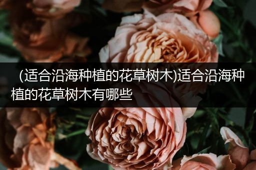 （适合沿海种植的花草树木)适合沿海种植的花草树木有哪些