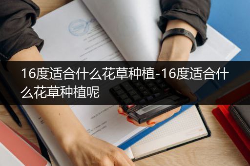 16度适合什么花草种植-16度适合什么花草种植呢