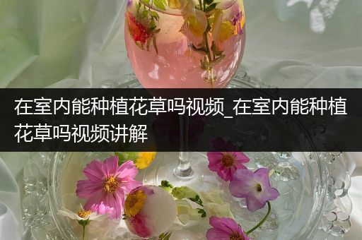 在室内能种植花草吗视频_在室内能种植花草吗视频讲解