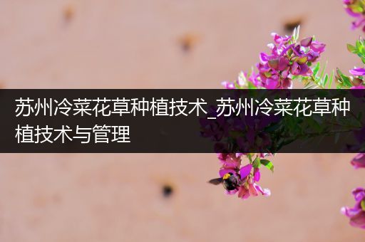 苏州冷菜花草种植技术_苏州冷菜花草种植技术与管理