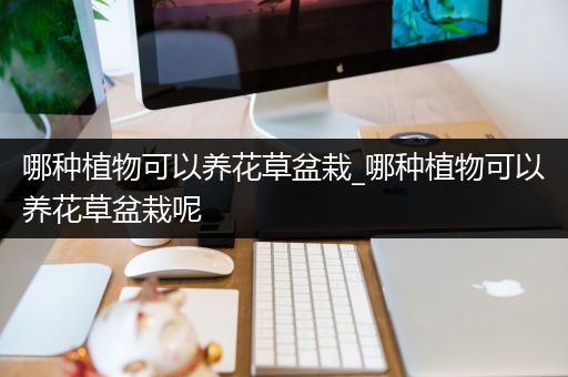 哪种植物可以养花草盆栽_哪种植物可以养花草盆栽呢