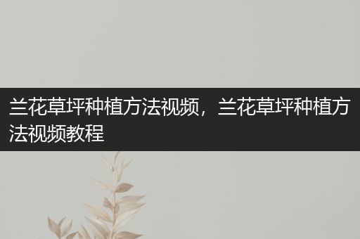 兰花草坪种植方法视频，兰花草坪种植方法视频教程